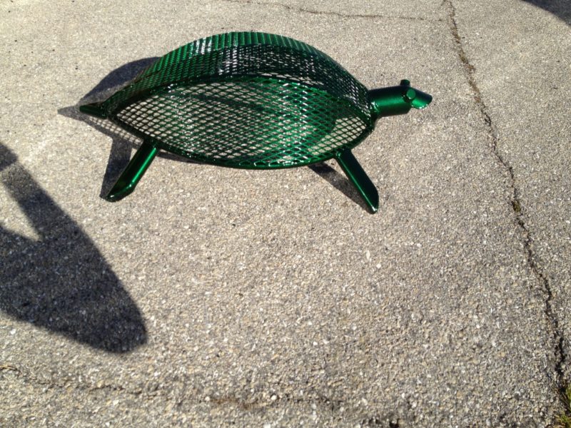 Medium Turtle - Image 2